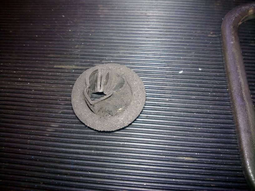 plenum4.jpg
